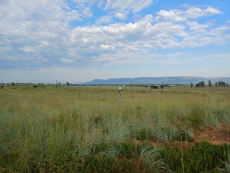 Farmland with High Earning Potential - Photo 6