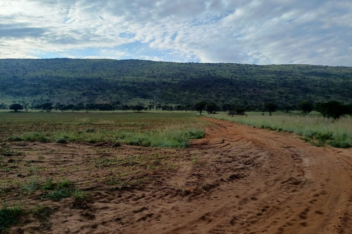 Farmland with High Earning Potential - Photo 3