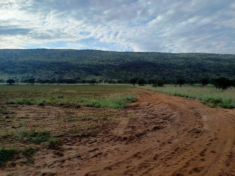 Farmland with High Earning Potential - Photo 3
