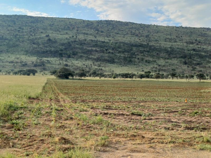 Farmland with High Earning Potential - Photo 5