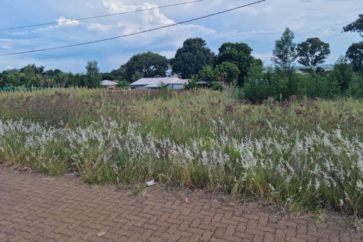 A street-level view of a vacant residential plot featuring a paved verge and overgrown vegetation with overhead power lines visible.