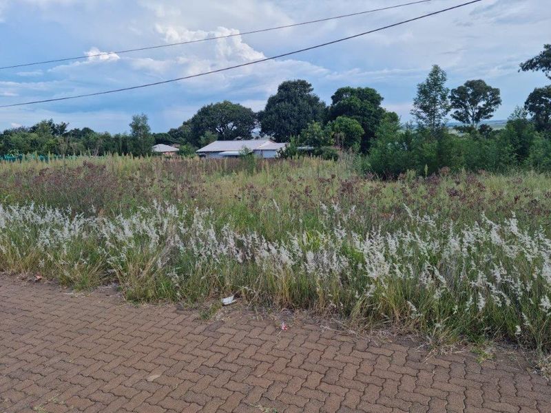 Derby -  Vacant stand - Experience Country Living! - Photo 6