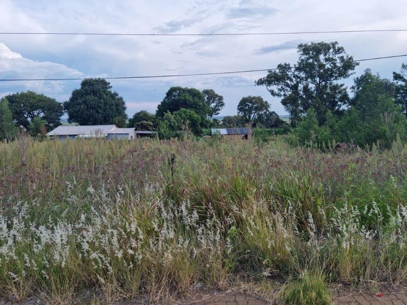 Derby -  Vacant stand - Experience Country Living! - Photo 3