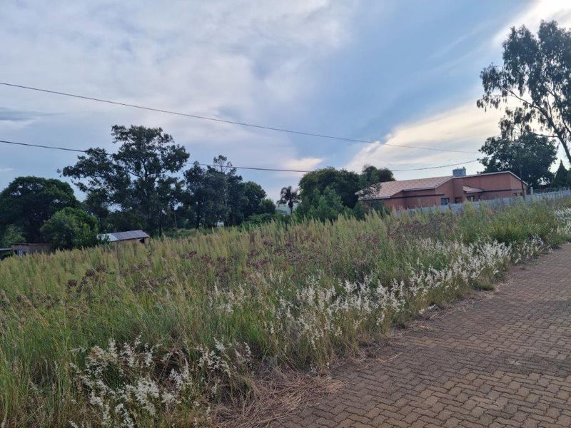 Derby -  Vacant stand - Experience Country Living! - Photo 2