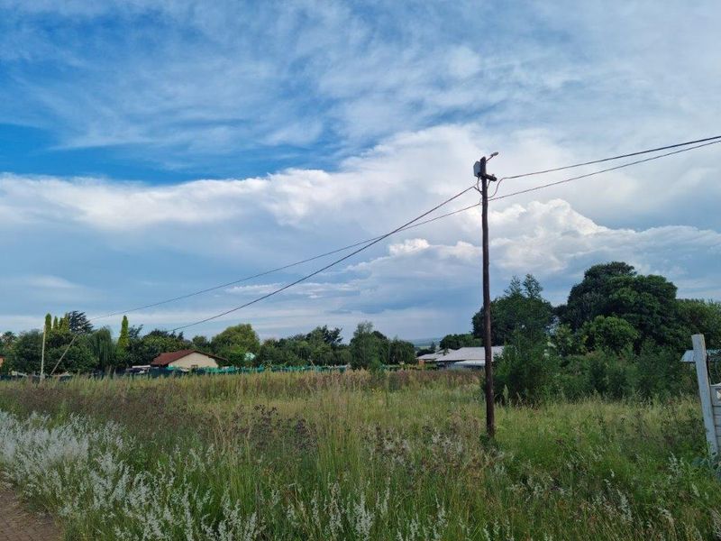 Derby -  Vacant stand - Experience Country Living! - Photo 9