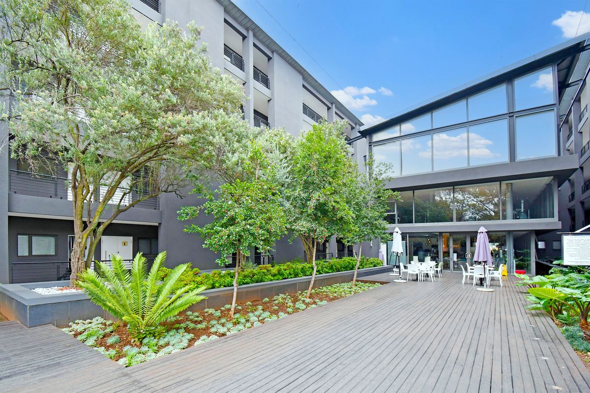 A modern apartment complex courtyard featuring a spacious timber deck, landscaped garden beds, and large glass-fronted building facades.