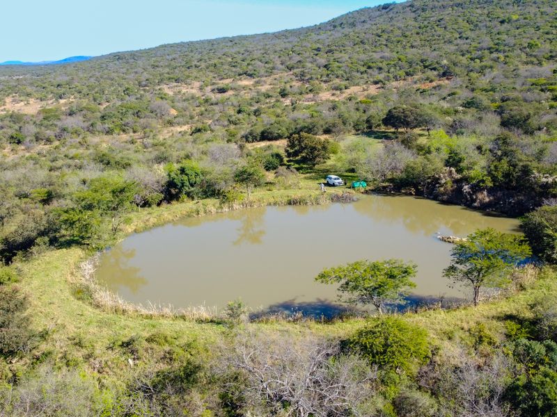 Game and grazing Mixed Thornveld land - Photo 6