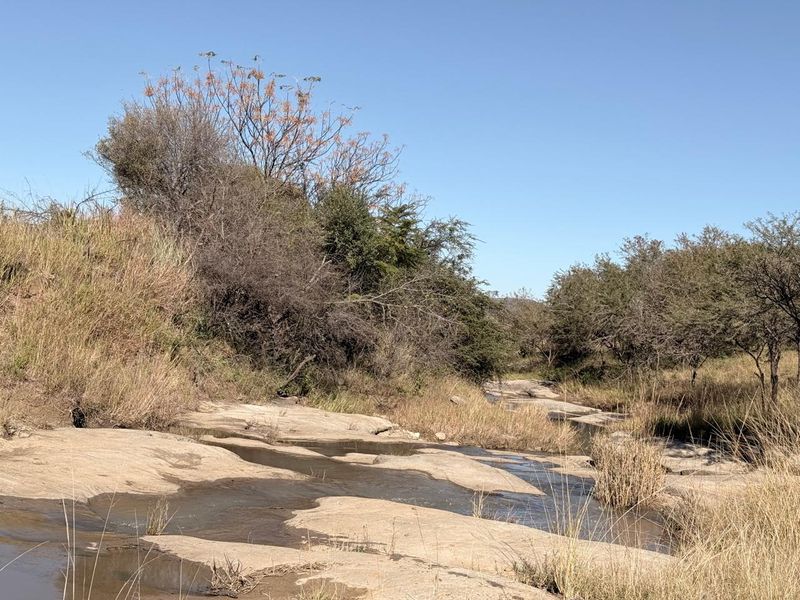 Game and grazing Mixed Thornveld land - Photo 3
