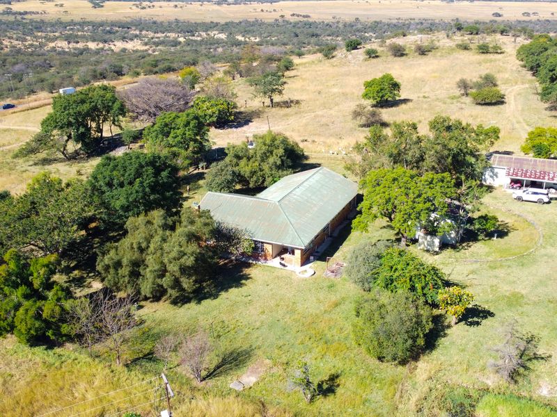 Game and grazing Mixed Thornveld land - Photo 4