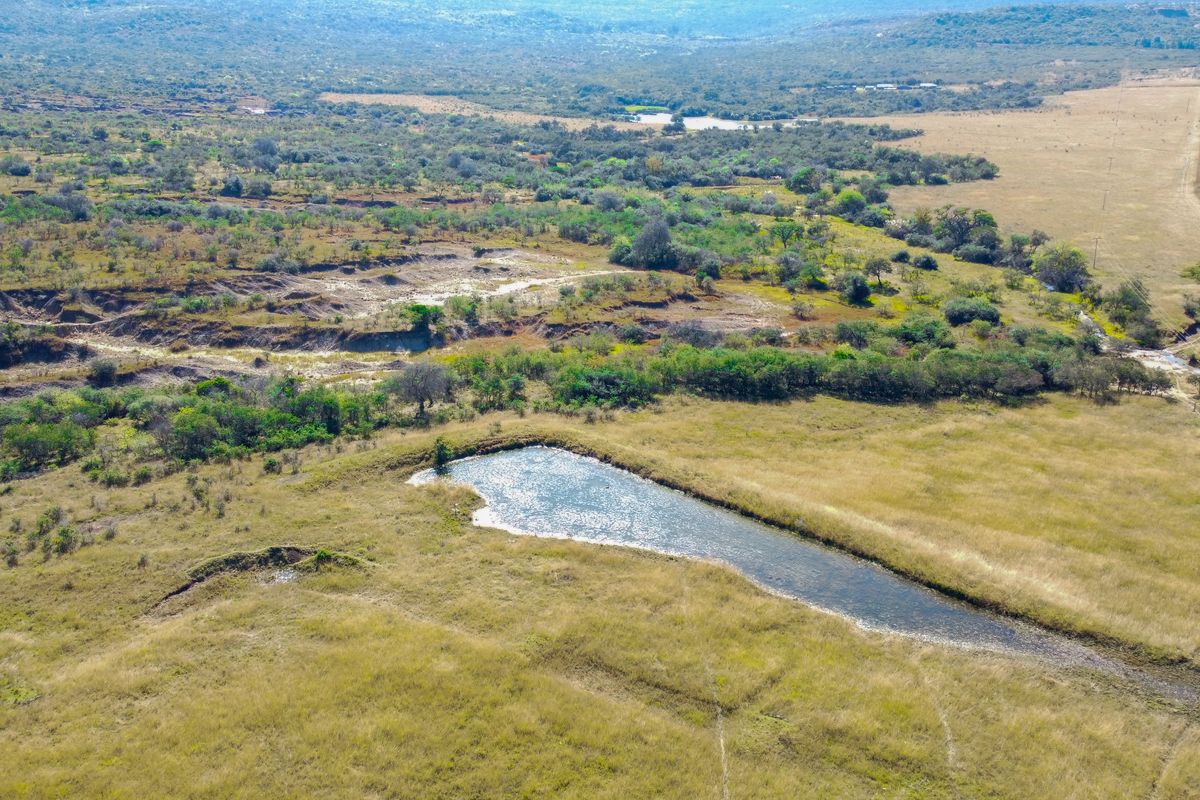 Game and grazing Mixed Thornveld land - Photo 5