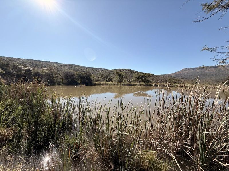 Game and grazing Mixed Thornveld land - Photo 9