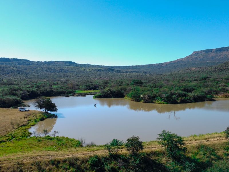 Game and grazing Mixed Thornveld land - Photo 8