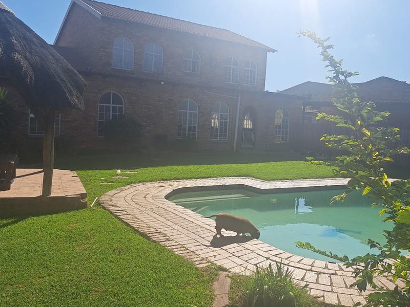 Rear exterior view featuring a swimming pool, brick-paved surround, and a traditional thatched lapa set against a double-story brick residence.