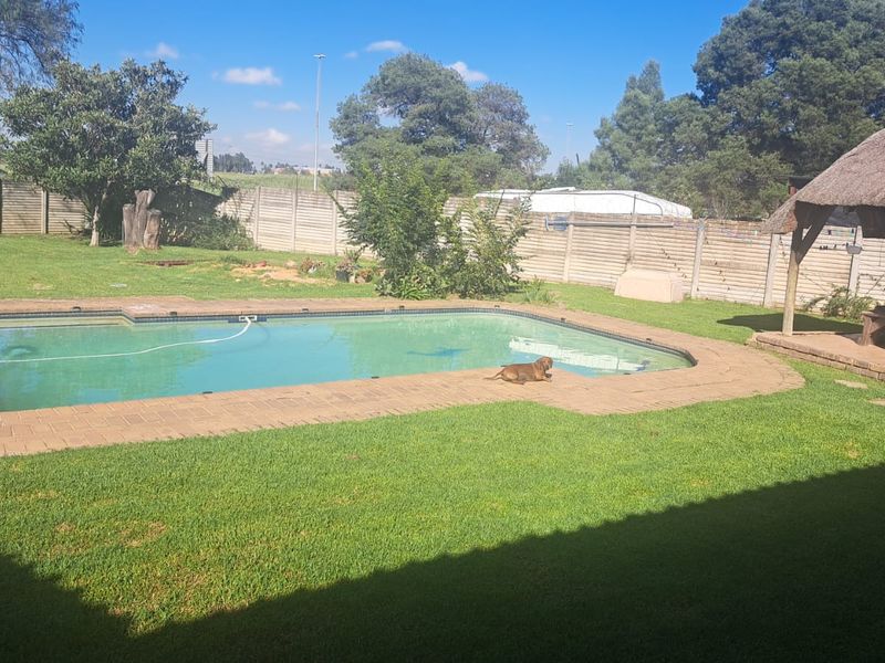 Spacious backyard featuring a swimming pool with brick paving surround and a traditional thatched lapa, enclosed by a precast concrete boundary wall.