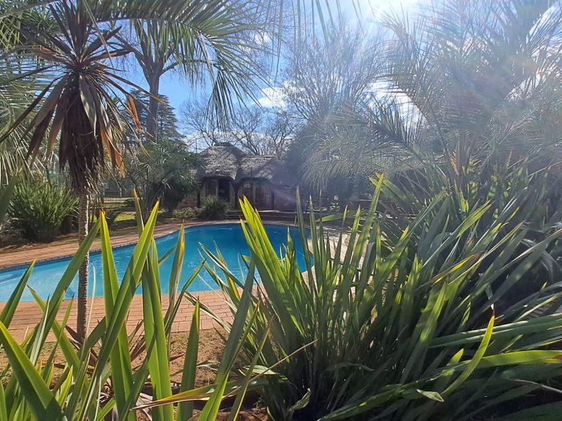 A private swimming pool area featuring brick paving and a thatched lapa, surrounded by established garden landscaping.