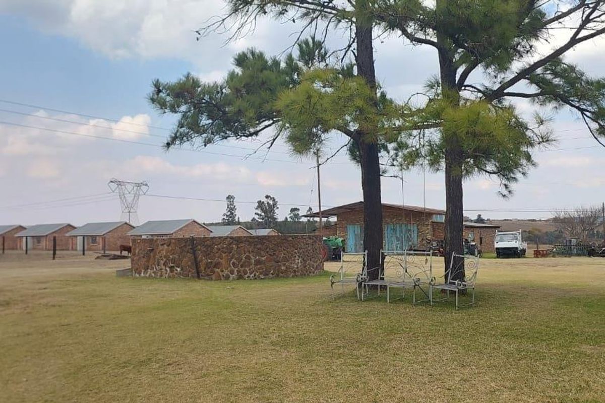 Big plot 21ha, 5 Bedroom main house with 14 flatlets! - Photo 2