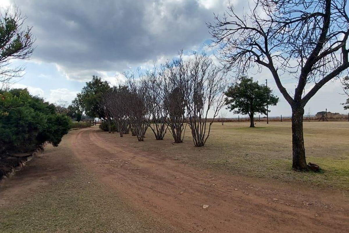 Big plot 21ha, 5 Bedroom main house with 14 flatlets! - Photo 4