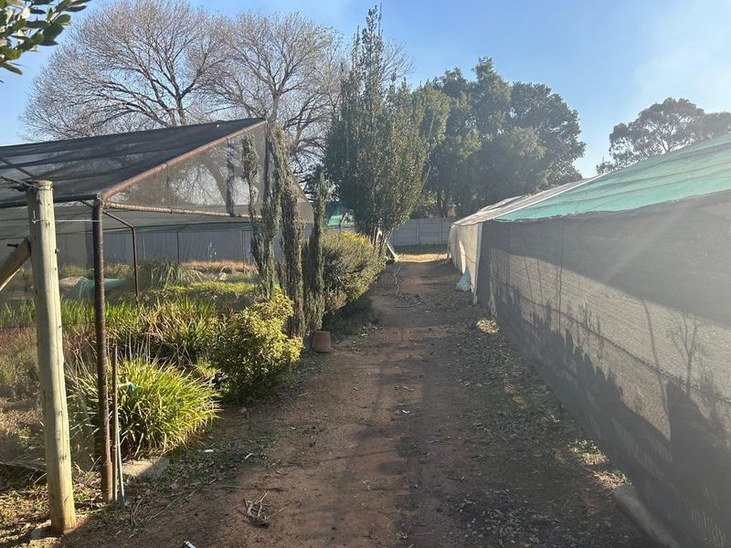 Stunning farm with Nursery, pool, lapa and Main house 4.4 hectar in Withok Estate AH, Brakpan - Photo 7