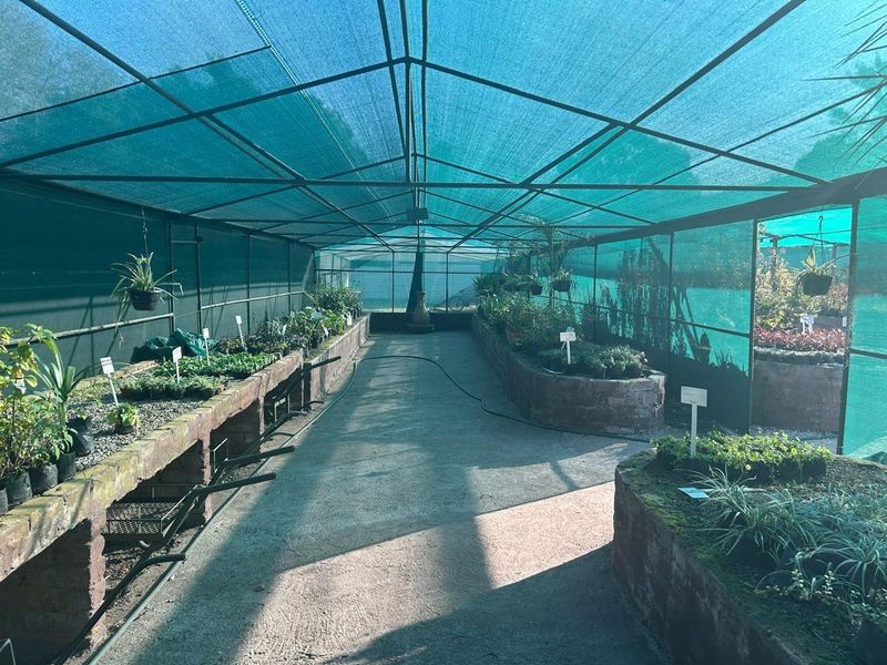 Stunning farm with Nursery, pool, lapa and Main house 4.4 hectar in Withok Estate AH, Brakpan - Photo 6