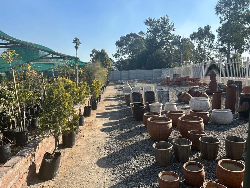 Stunning farm with Nursery, pool, lapa and Main house 4.4 hectar in Withok Estate AH, Brakpan - Photo 8