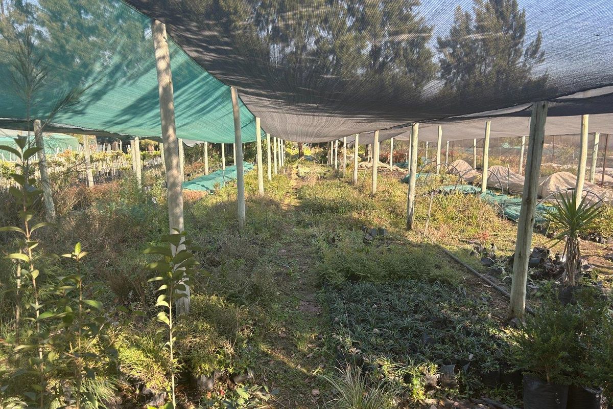 Stunning farm with Nursery, pool, lapa and Main house 4.4 hectar in Withok Estate AH, Brakpan - Photo 4
