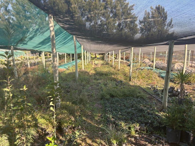 Stunning farm with Nursery, pool, lapa and Main house 4.4 hectar in Withok Estate AH, Brakpan - Photo 4