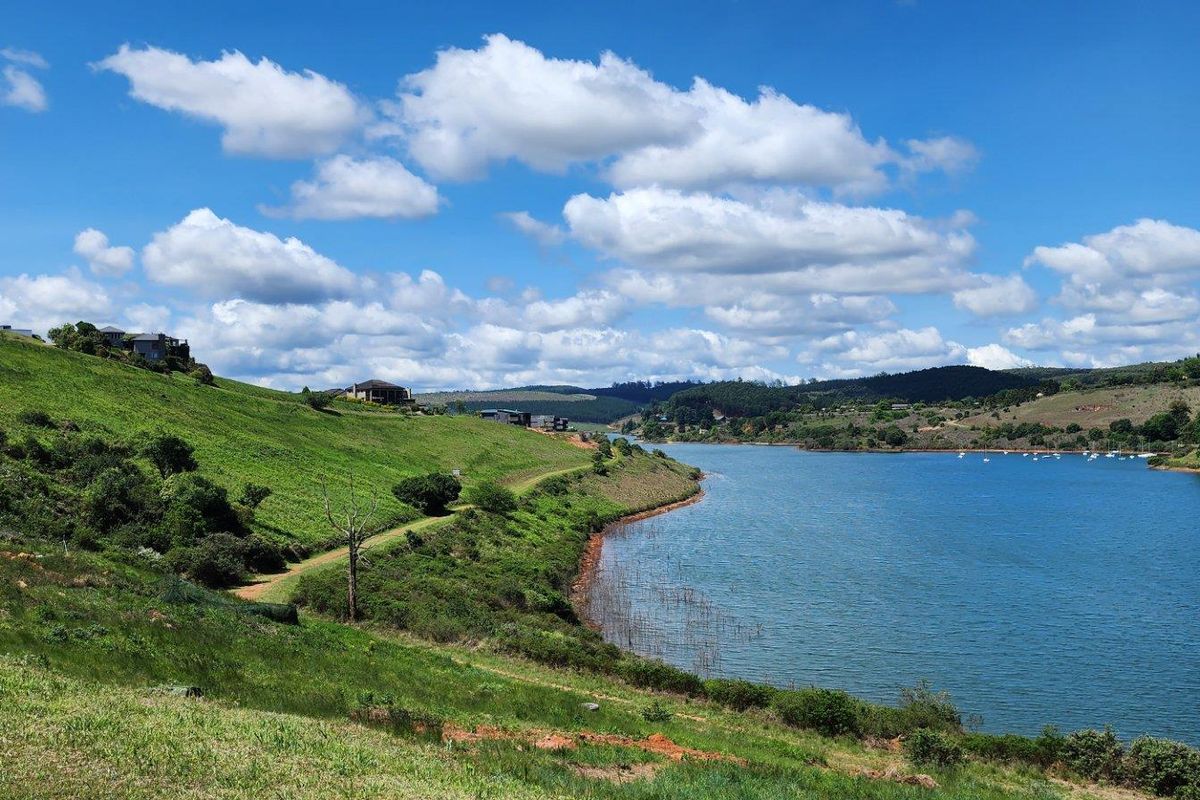 Nestled in the Serene Beauty of Clearwater's Cove! - Photo 2