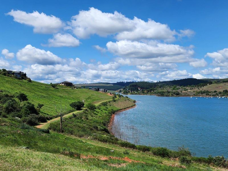 Nestled in the Serene Beauty of Clearwater's Cove! - Photo 2