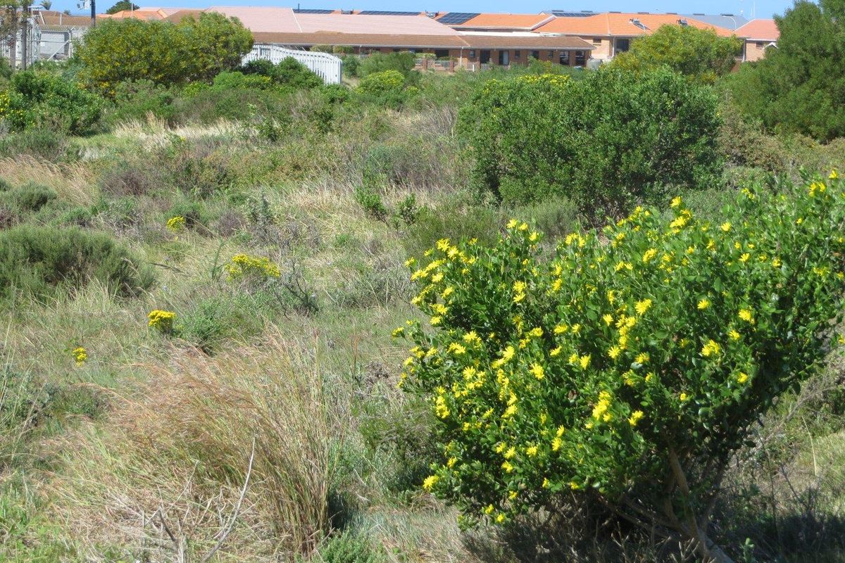 2.2HA  stand in Fountains Business Park with Zoning Business 1 - Photo 5