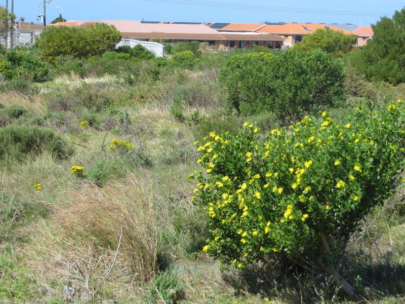 2.2HA  stand in Fountains Business Park with Zoning Business 1 - Photo 5