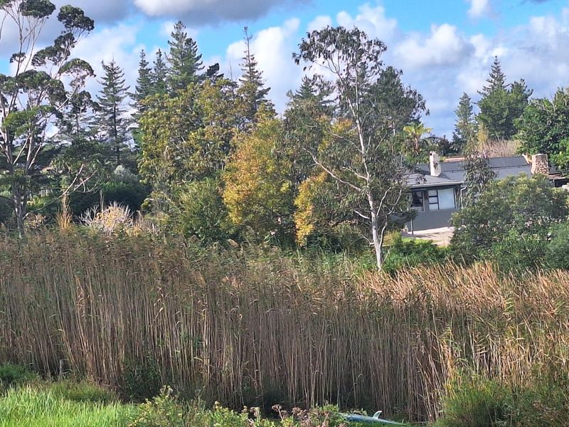 Natures Retreat, Vacant land overlooking Bass dam - Photo 10