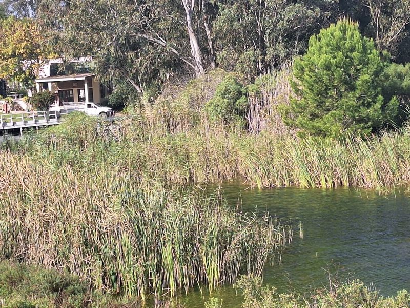 Natures Retreat, Vacant land overlooking Bass dam - Photo 8