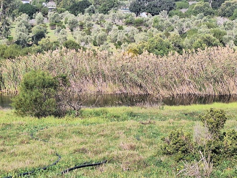 Natures Retreat, Vacant land overlooking Bass dam - Photo 7
