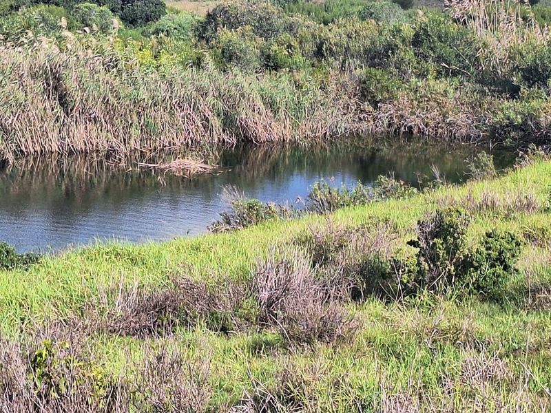 Natures Retreat, Vacant land overlooking Bass dam - Photo 6