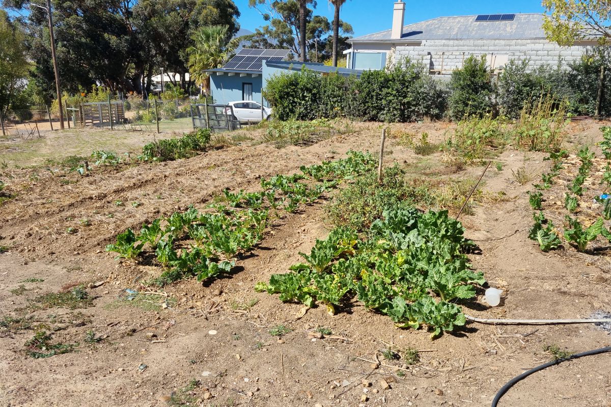 Vacant Stand in Bot River - Photo 5