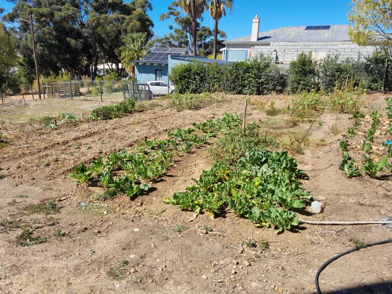Vacant Stand in Bot River - Photo 5