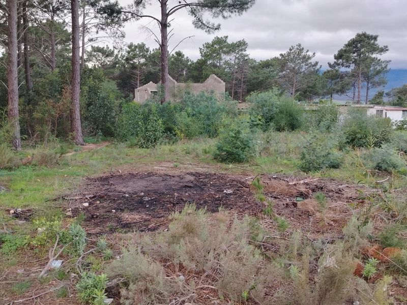 A view of a vacant residential plot featuring mature trees, dense natural vegetation, and a partially cleared area of land.