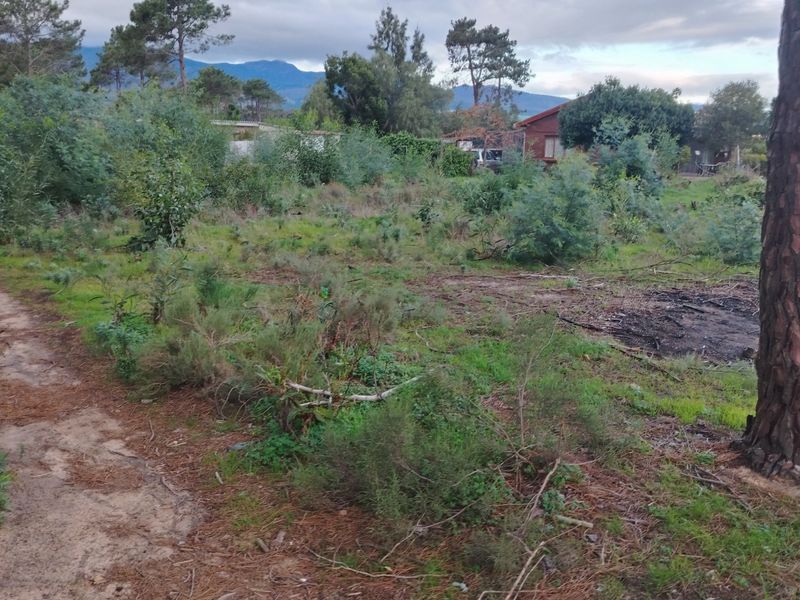A view of a vacant residential plot featuring natural vegetation, mature trees, and an unpaved access path.
