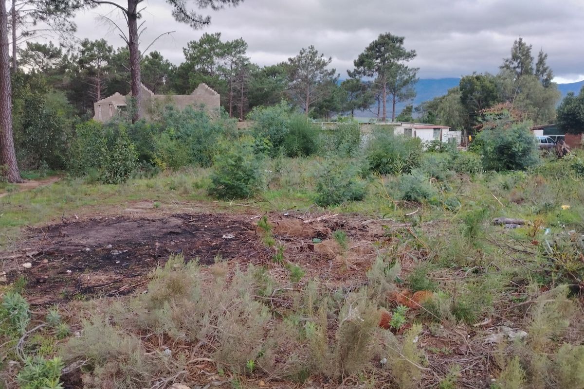 A view of a vacant residential plot featuring natural vegetation, mature trees, and an unimproved landscape.