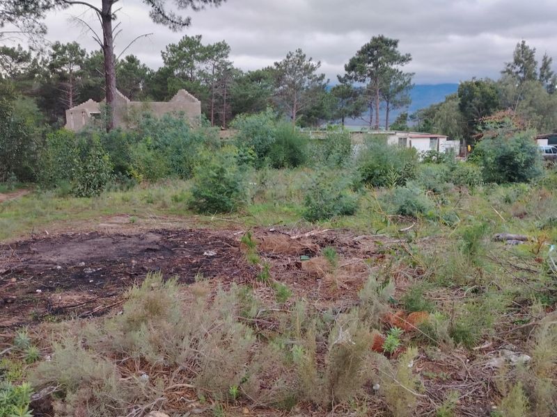 A view of a vacant residential plot featuring natural vegetation, mature trees, and an unimproved landscape.