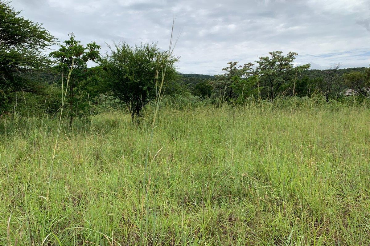 Your Gateway to Tranquility and Luxury Living - Photo 5