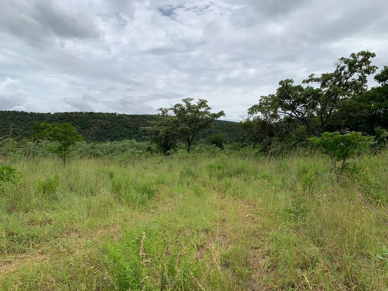 Your Gateway to Tranquility and Luxury Living - Photo 8