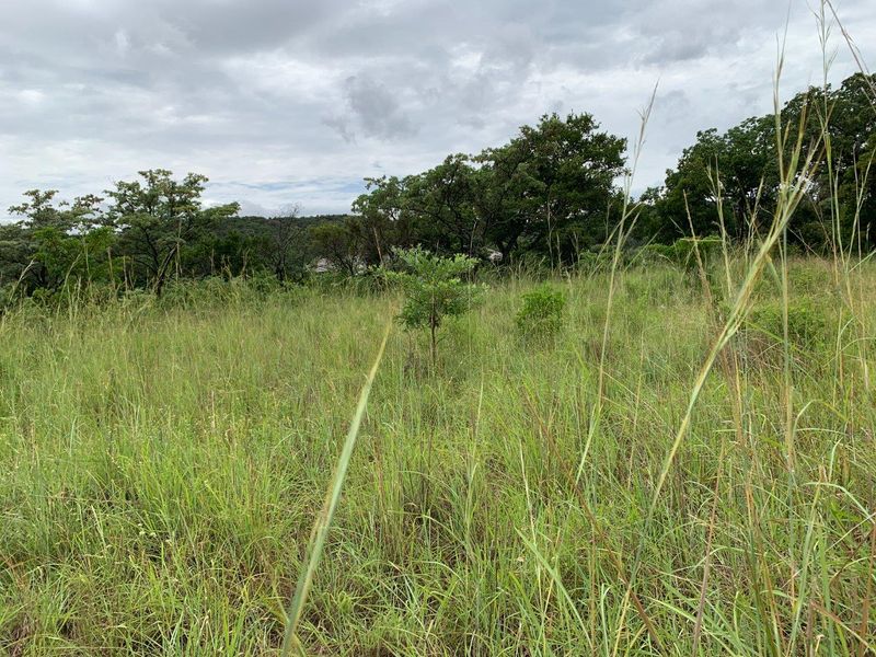 Your Gateway to Tranquility and Luxury Living - Photo 6