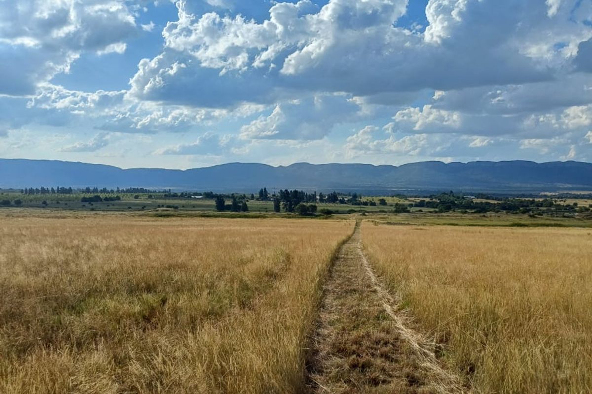 Champagne Air..78 Hectare Undeveloped Farm Land - Photo 4