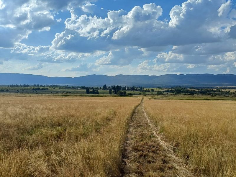 Champagne Air..78 Hectare Undeveloped Farm Land - Photo 4