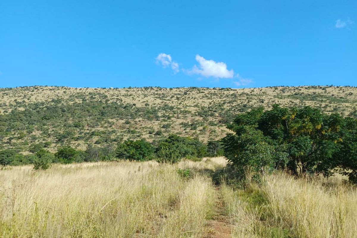 Champagne Air..78 Hectare Undeveloped Farm Land - Photo 2