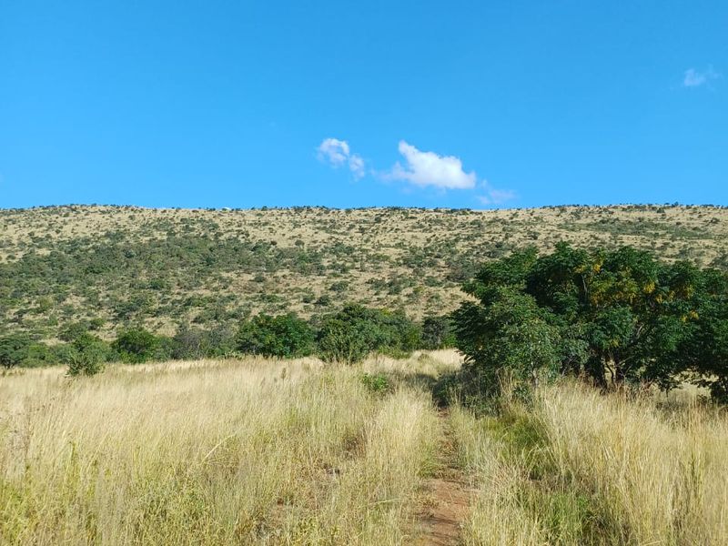 Champagne Air..78 Hectare Undeveloped Farm Land - Photo 2