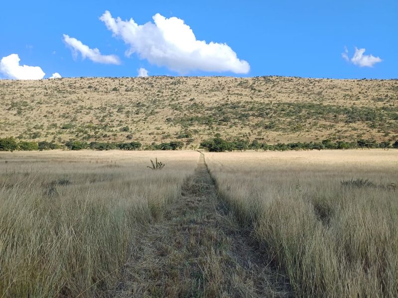 Champagne Air..78 Hectare Undeveloped Farm Land - Photo 10