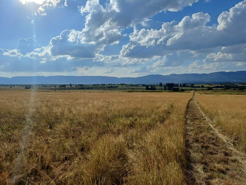 Champagne Air..78 Hectare Undeveloped Farm Land - Photo 9