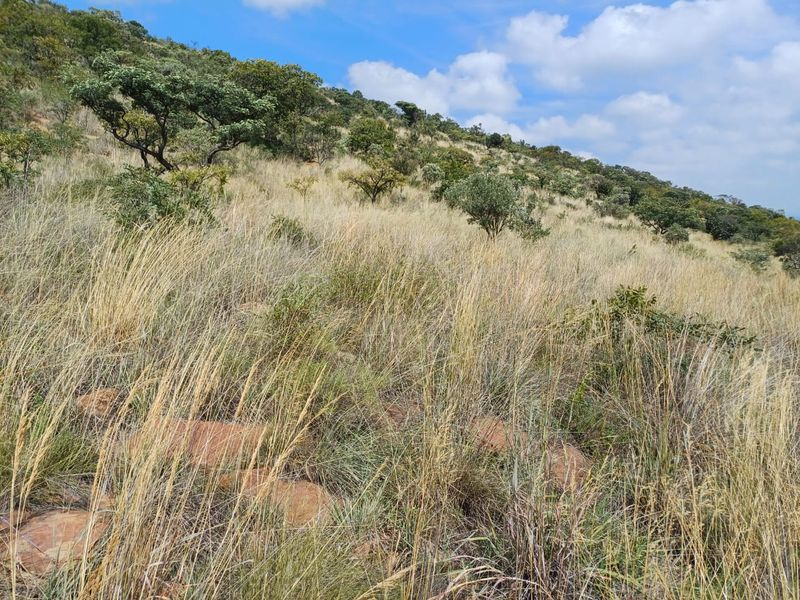 Champagne Air..78 Hectare Undeveloped Farm Land - Photo 8